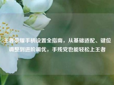 王者荣耀手柄设置全指南，从基础适配、键位调整到进阶调优，手残党也能轻松上王者