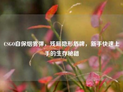 CSGO自保烟雾弹，残局隐形盾牌，新手快速上手的生存秘籍