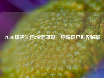 PUBG破晓生还2全面攻略，称霸丧尸世界秘籍