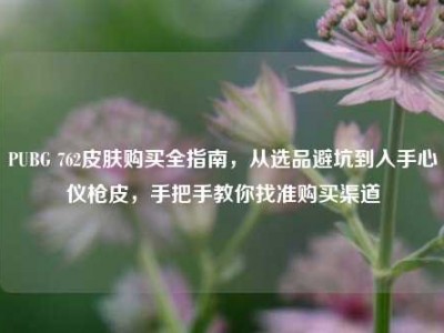 PUBG 762皮肤购买全指南，从选品避坑到入手心仪枪皮，手把手教你找准购买渠道