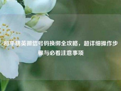 和平精英微信号码换绑全攻略，超详细操作步骤与必看注意事项