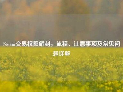 Steam交易权限解封，流程、注意事项及常见问题详解
