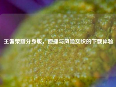 王者荣耀分身版，便捷与风险交织的下载体验