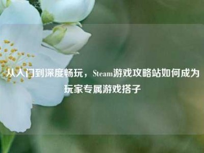 从入门到深度畅玩，Steam游戏攻略站如何成为玩家专属游戏搭子