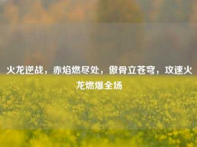 火龙逆战，赤焰燃尽处，傲骨立苍穹，攻速火龙燃爆全场