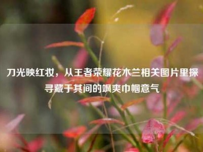 刀光映红妆，从王者荣耀花木兰相关图片里探寻藏于其间的飒爽巾帼意气