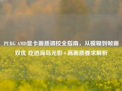 PUBG AMD显卡画质调校全指南，从模糊到帧画双优 吃透海岛光影+高画质要求解析