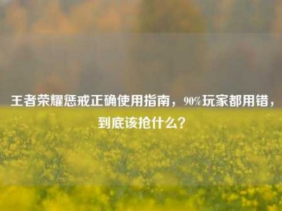 王者荣耀惩戒正确使用指南，90%玩家都用错，到底该抢什么？