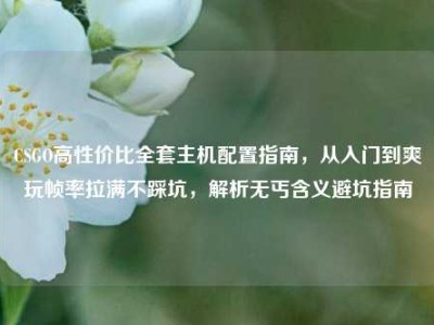 CSGO高性价比全套主机配置指南，从入门到爽玩帧率拉满不踩坑，解析无丐含义避坑指南