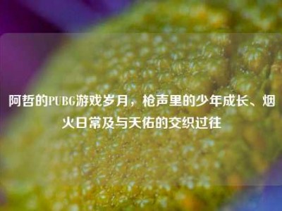 阿哲的PUBG游戏岁月，枪声里的少年成长、烟火日常及与天佑的交织过往