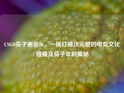 CSGO茄子邂逅JK，一场打破次元壁的电竞文化碰撞及茄子年龄揭秘