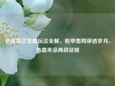 逆战真正觉醒玩法全解，机甲轰鸣穿透岁月，热血未凉再战征程