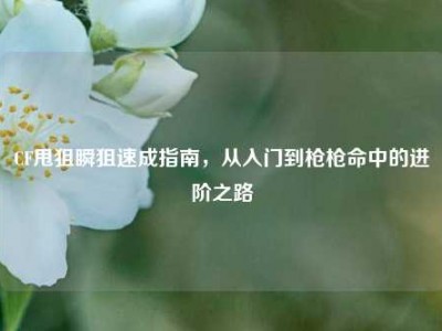 CF甩狙瞬狙速成指南，从入门到枪枪命中的进阶之路