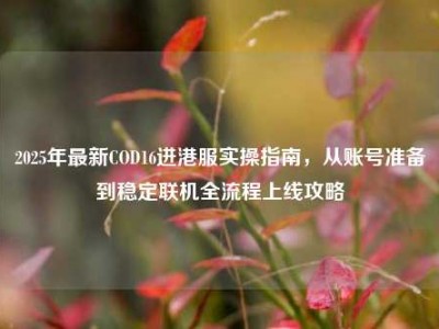 2025年最新COD16进港服实操指南，从账号准备到稳定联机全流程上线攻略