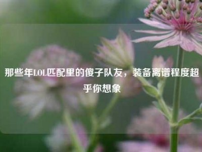 那些年LOL匹配里的傻子队友，装备离谱程度超乎你想象