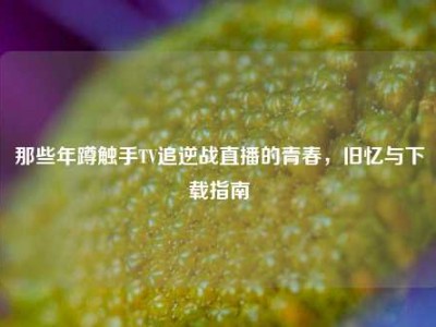 那些年蹲触手TV追逆战直播的青春，旧忆与下载指南