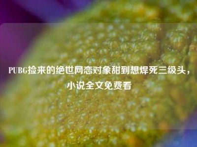 PUBG捡来的绝世网恋对象甜到想焊死三级头，小说全文免费看