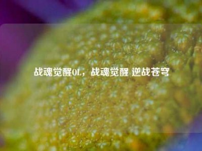 战魂觉醒OL，战魂觉醒 逆战苍穹
