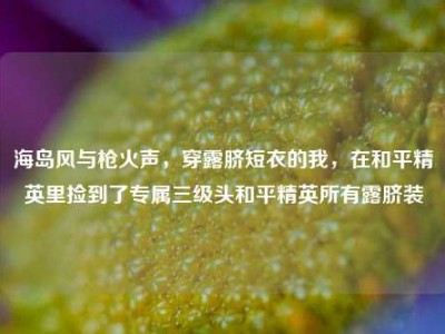 海岛风与枪火声，穿露脐短衣的我，在和平精英里捡到了专属三级头和平精英所有露脐装