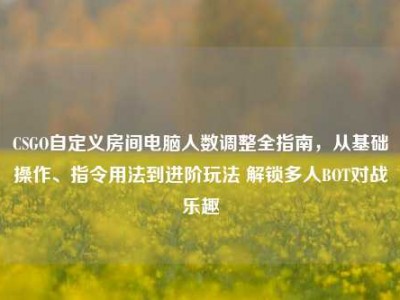 CSGO自定义房间电脑人数调整全指南，从基础操作、指令用法到进阶玩法 解锁多人BOT对战乐趣