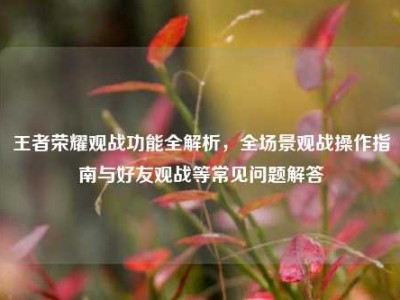 王者荣耀观战功能全解析，全场景观战操作指南与好友观战等常见问题解答