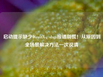 启动提示缺少DirectX、dxgi报错别慌！从原因到全场景解决方法一次说清