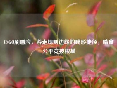CSGO刷盾牌，游走规则边缘的畸形捷径，啃食公平竞技根基