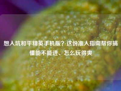 想入坑和平精英手机版？这份准入指南帮你搞懂能不能进、怎么玩得爽