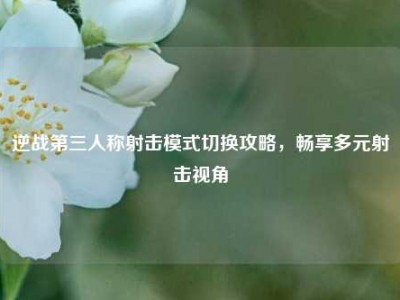 逆战第三人称射击模式切换攻略，畅享多元射击视角