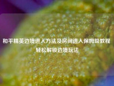 和平精英边境进入方法及房间进入保姆级教程 轻松解锁边境玩法
