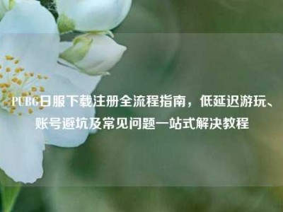 PUBG日服下载注册全流程指南，低延迟游玩、账号避坑及常见问题一站式解决教程