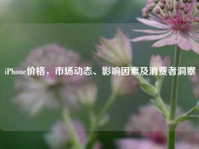 iPhone价格，市场动态、影响因素及消费者洞察