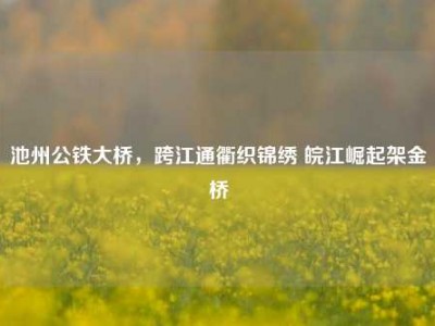 池州公铁大桥，跨江通衢织锦绣 皖江崛起架金桥