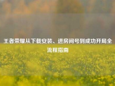 王者荣耀从下载安装、进房间号到成功开局全流程指南