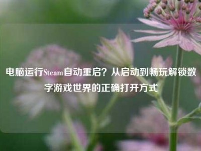 电脑运行Steam自动重启？从启动到畅玩解锁数字游戏世界的正确打开方式