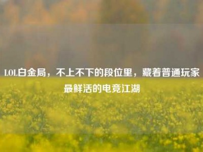 LOL白金局，不上不下的段位里，藏着普通玩家最鲜活的电竞江湖