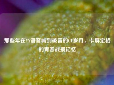 那些年在YY语音喊到破音的CF岁月，卡屏定格的青春战损记忆