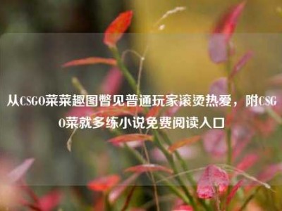 从CSGO菜菜趣图瞥见普通玩家滚烫热爱，附CSGO菜就多练小说免费阅读入口