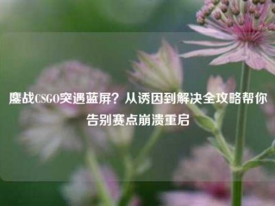 鏖战CSGO突遇蓝屏？从诱因到解决全攻略帮你告别赛点崩溃重启