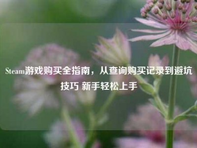 Steam游戏购买全指南，从查询购买记录到避坑技巧 新手轻松上手