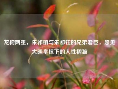 龙椅两重，朱祁镇与朱祁钰的兄弟君臣，照见大明皇权下的人性褶皱