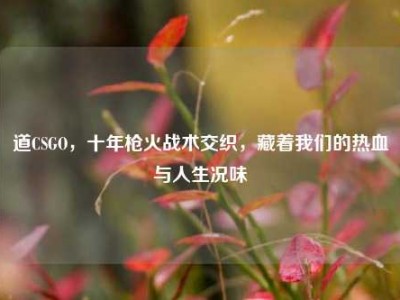 道CSGO，十年枪火战术交织，藏着我们的热血与人生况味