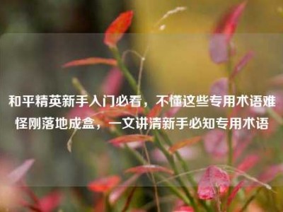 和平精英新手入门必看，不懂这些专用术语难怪刚落地成盒，一文讲清新手必知专用术语