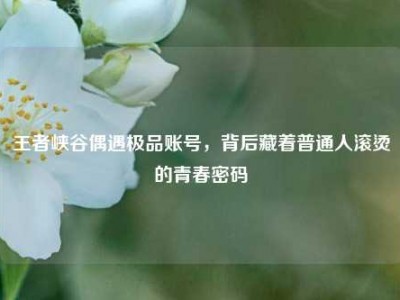 王者峡谷偶遇极品账号，背后藏着普通人滚烫的青春密码