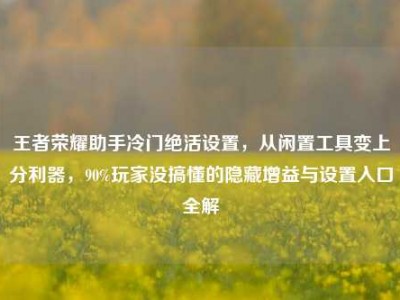 王者荣耀助手冷门绝活设置，从闲置工具变上分利器，90%玩家没搞懂的隐藏增益与设置入口全解