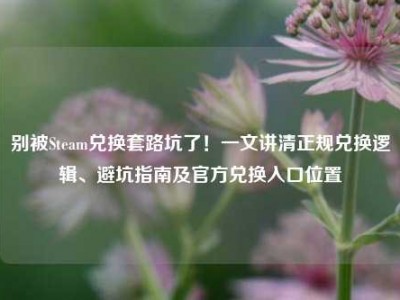 别被Steam兑换套路坑了！一文讲清正规兑换逻辑、避坑指南及官方兑换入口位置