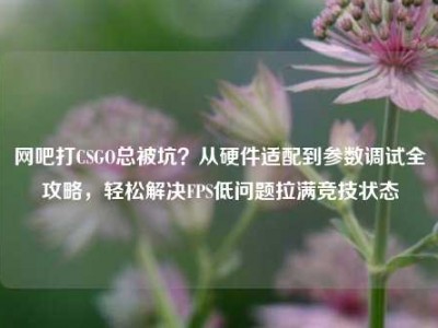 网吧打CSGO总被坑？从硬件适配到参数调试全攻略，轻松解决FPS低问题拉满竞技状态