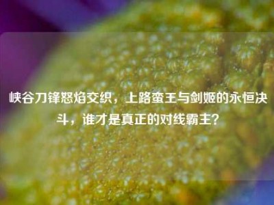 峡谷刀锋怒焰交织，上路蛮王与剑姬的永恒决斗，谁才是真正的对线霸主？