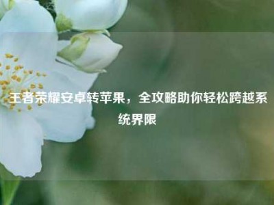 王者荣耀安卓转苹果，全攻略助你轻松跨越系统界限