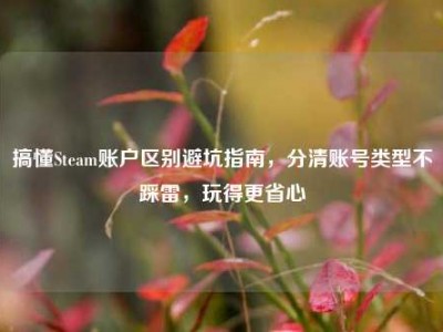 搞懂Steam账户区别避坑指南，分清账号类型不踩雷，玩得更省心